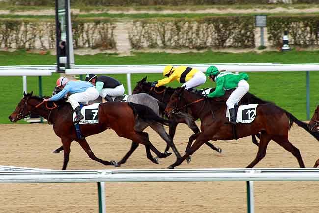 Arrivée quinté pmu PRIX DE LA CAMPAGNE GRAVEE à DEAUVILLE