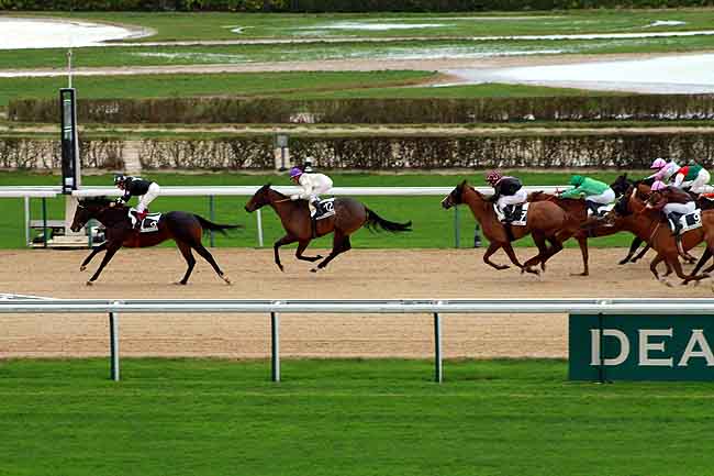 Arrivée quinté pmu PRIX DE LA PLAGE à DEAUVILLE