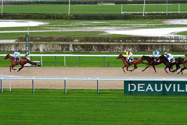 Arrivée quinté pmu PRIX DE RAUVILLE à DEAUVILLE