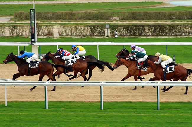 Arrivée quinté pmu PRIX DE GRANDOUET à DEAUVILLE