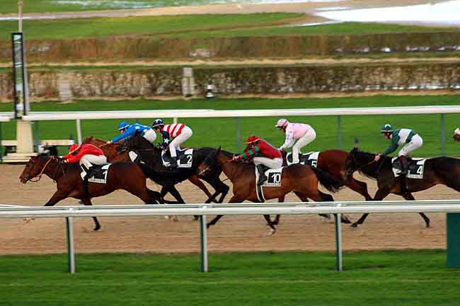 Arrivée quinté pmu PRIX DES VAGUES à DEAUVILLE