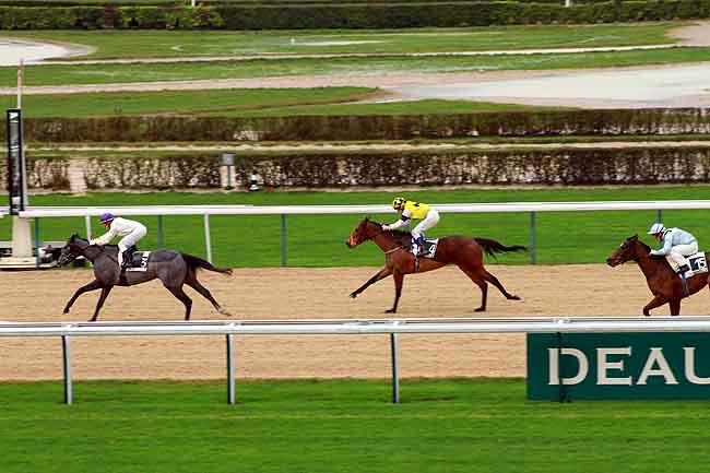 Arrivée quinté pmu PRIX DE L'EPEE à DEAUVILLE MIDI