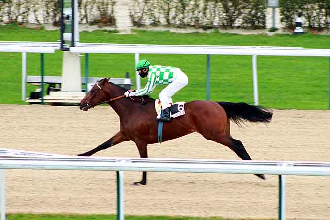 Arrivée quinté pmu PRIX HABITAT à DEAUVILLE MIDI