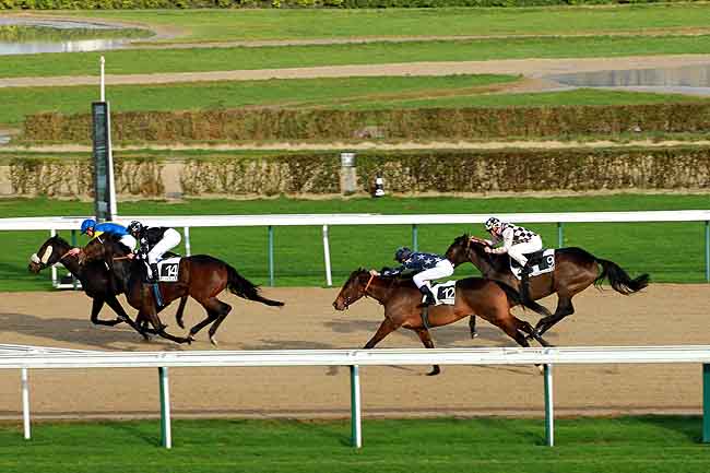 Arrivée quinté pmu PRIX DE MIRANDE à DEAUVILLE