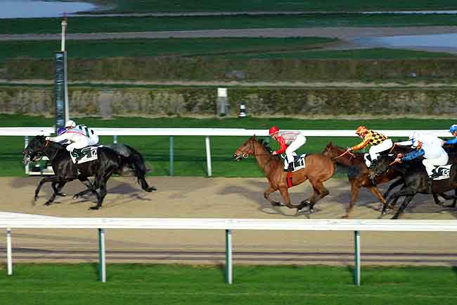 Arrivée quinté pmu PRIX DES HAIES à DEAUVILLE