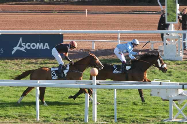 Arrivée quinté pmu PRIX ALAIN DU BREIL à CAGNES-SUR-MER