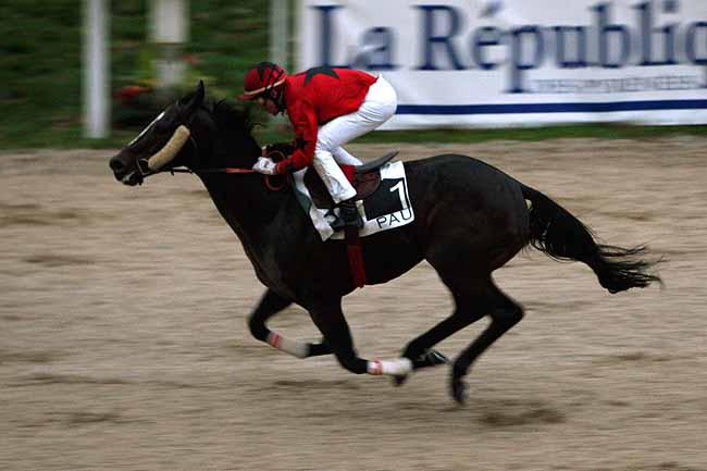 Arrivée quinté pmu PRIX DE BORDES à PAU