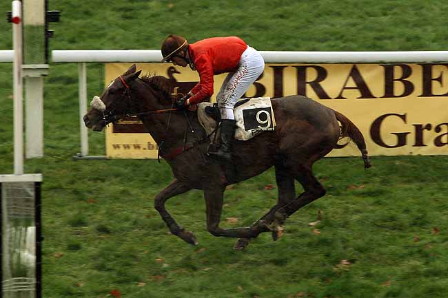 Arrivée quinté pmu PRIX DE MONEIN (GR A) à PAU