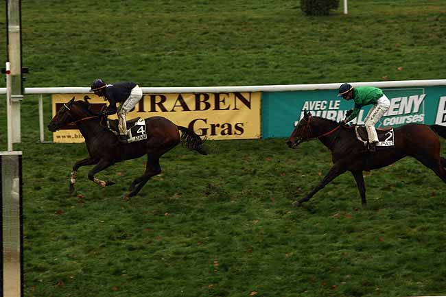 Arrivée quinté pmu PRIX TRUFFAUT (COUPE DES ANGLO-ARABES) à PAU