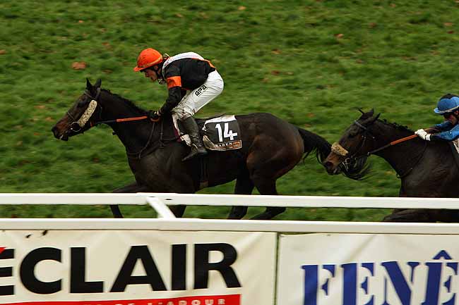 Arrivée quinté pmu PRIX BIRABEN FOIE GRAS (PRIX GEORGES PASTRE) à PAU