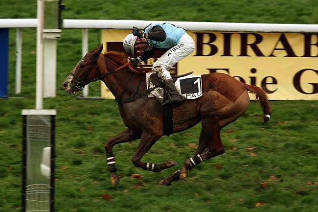 Arrivée quinté pmu PRIX JOURNAL GENY COURSES (PRIX DE SAINT-VINCENT) à PAU