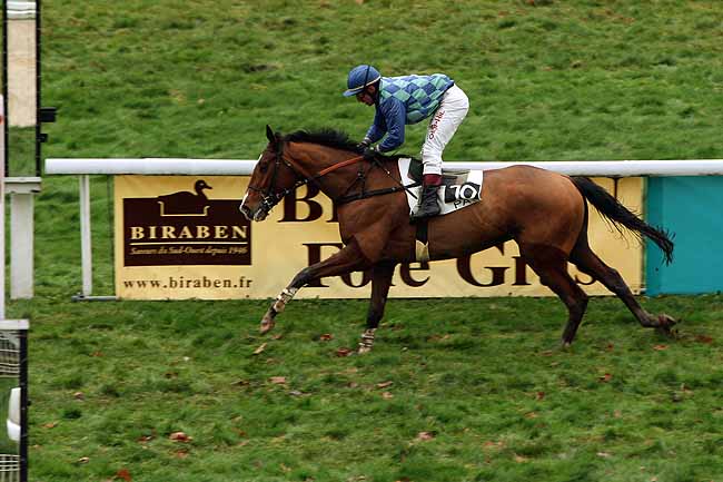 Arrivée quinté pmu PRIX DE MONEIN (GR B) à PAU