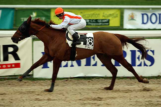 Arrivée quinté pmu PRIX PMU TABAC LE BALTO - TARBES (PRIX DE MEILLON) à PAU