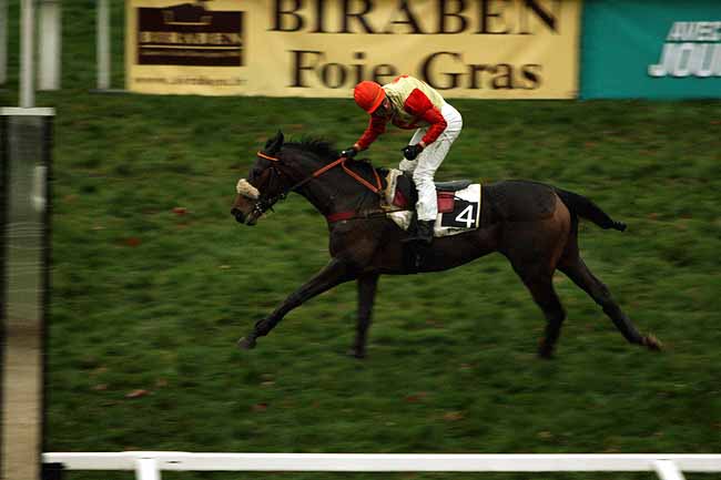 Arrivée quinté pmu PRIX JEAN LAMAYSOUETTE à PAU