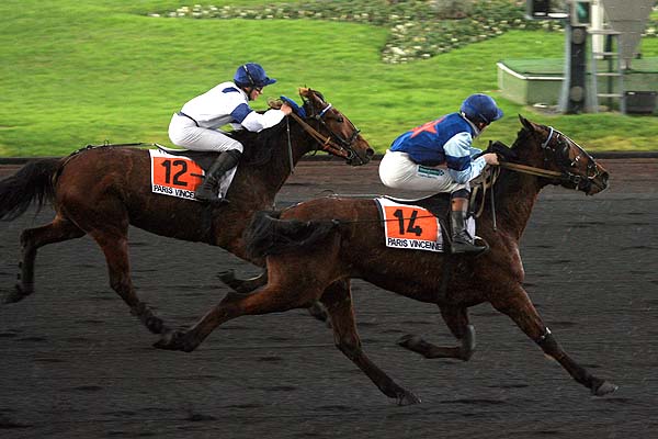 Arrivée quinté pmu PRIX DE L'ANGOUMOIS à PARIS-VINCENNES