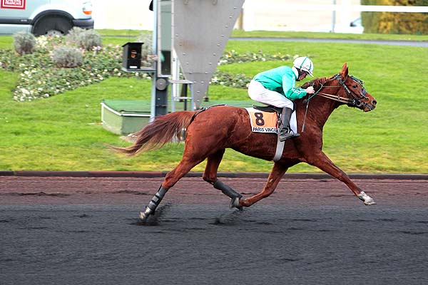 Arrivée quinté pmu PRIX DE VANNES à PARIS-VINCENNES