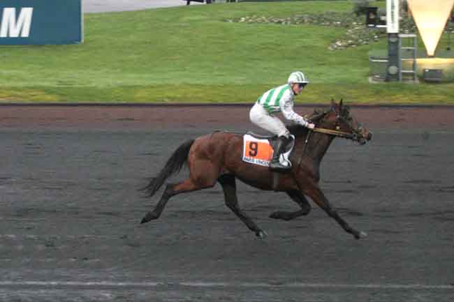 Arrivée quinté pmu PRIX DE FLERS à PARIS-VINCENNES