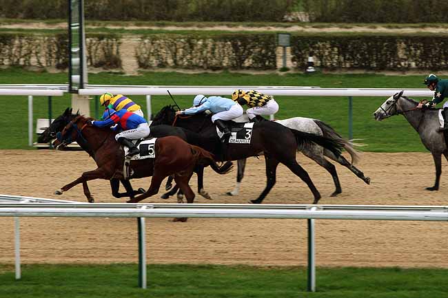 Arrivée quinté pmu PRIX DU HOME à DEAUVILLE
