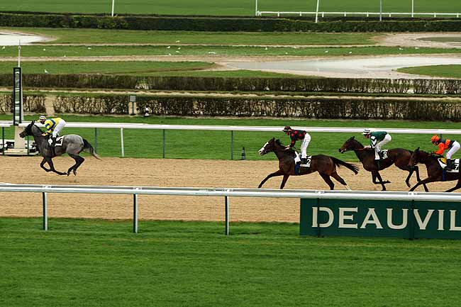 Arrivée quinté pmu PRIX DE LA FRICHE SAINT-VINCENT à DEAUVILLE MIDI