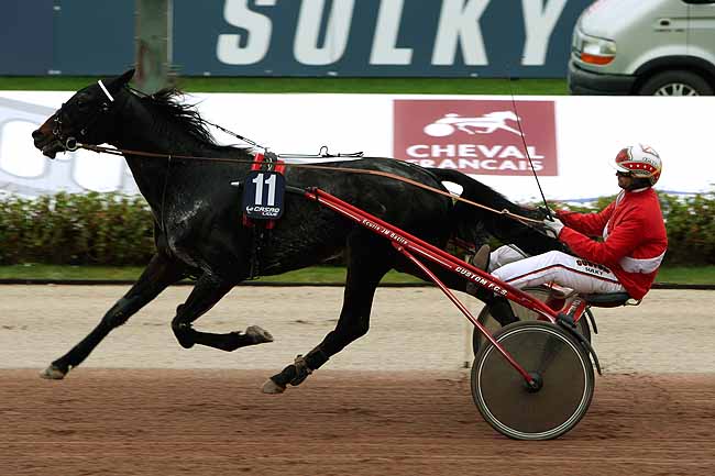 Arrivée quinté pmu PRIX DES MUFLIERS à CABOURG