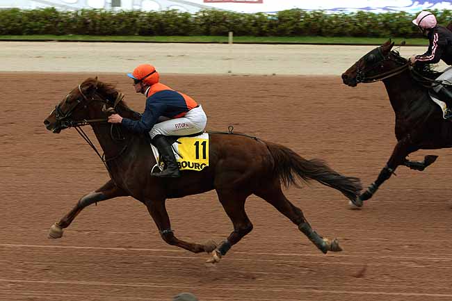 Arrivée quinté pmu PRIX DES PEUPLIERS à CABOURG