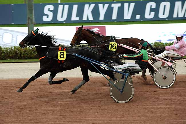 Arrivée quinté pmu PRIX DES SILENES (GR A) à CABOURG