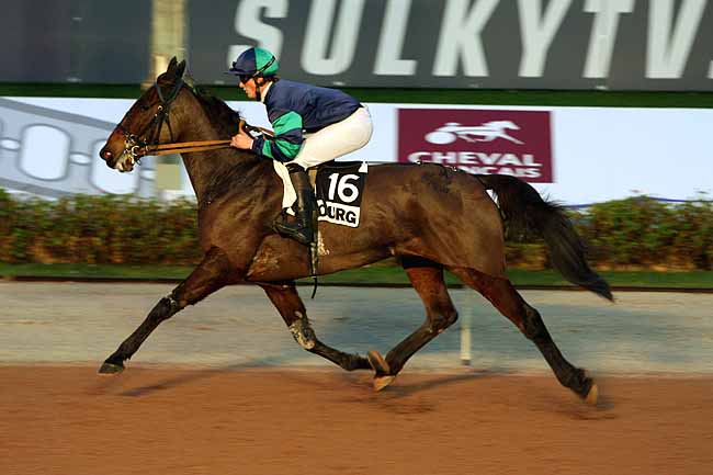Arrivée quinté pmu PRIX DES PISSENLITS à CABOURG