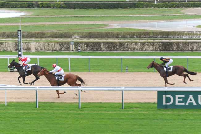 Arrivée quinté pmu PRIX DU MONT LION à DEAUVILLE