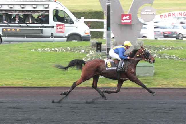 Arrivée quinté pmu PRIX EMILE RIOTTEAU à PARIS-VINCENNES