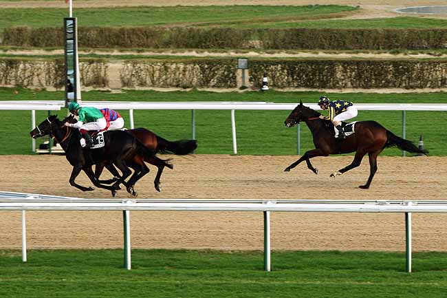 Arrivée quinté pmu PRIX DE LA VALLEE DE REUX à DEAUVILLE MIDI