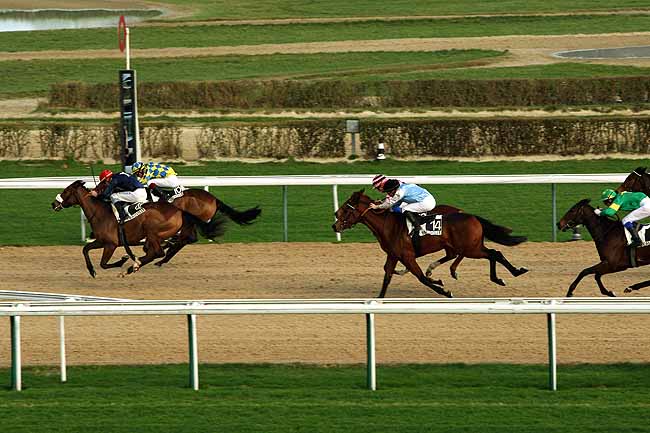 Arrivée quinté pmu PRIX DE LA MARE ELAN à DEAUVILLE MIDI