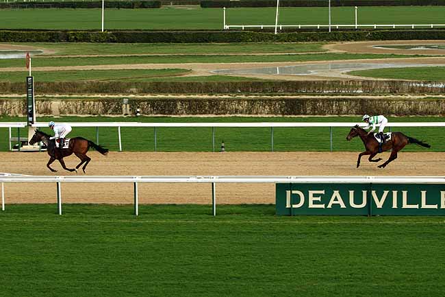 Arrivée quinté pmu PRIX DU PRESSOIR à DEAUVILLE MIDI