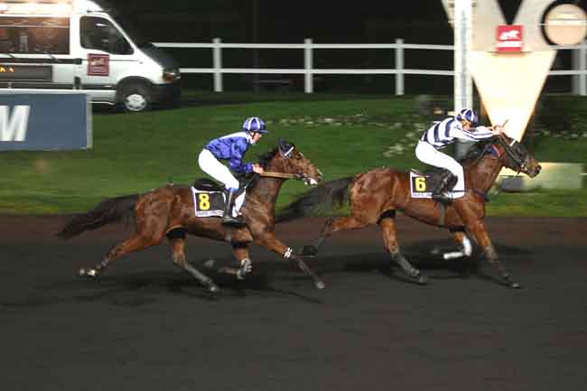 Arrivée quinté pmu PRIX DE COLLIOURE à PARIS-VINCENNES