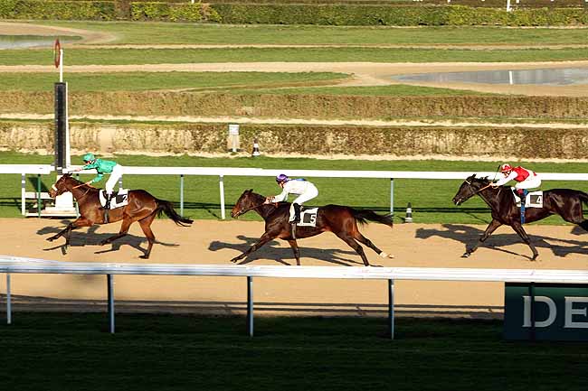 Arrivée quinté pmu PRIX DE LA FONTAINE TEAUVILLAISE à DEAUVILLE