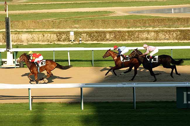 Arrivée quinté pmu PRIX DU HAUT GUE à DEAUVILLE