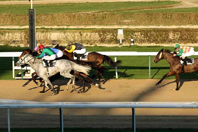 Arrivée quinté pmu PRIX DE MAHERU à DEAUVILLE