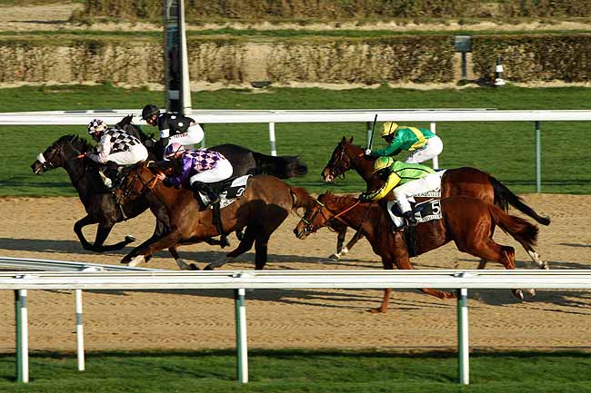 Arrivée quinté pmu PRIX DE MASTAINVILLE à DEAUVILLE MIDI