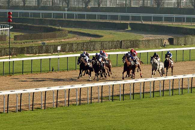 Arrivée quinté pmu PRIX DU CHENET à DEAUVILLE MIDI