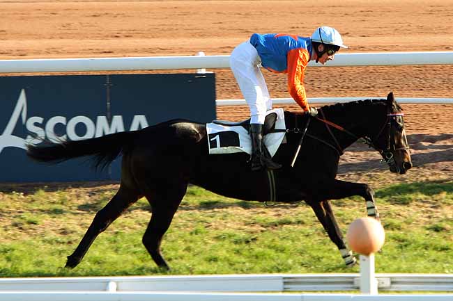 Arrivée quinté pmu PRIX DE L'AQUITAINE à CAGNES-SUR-MER