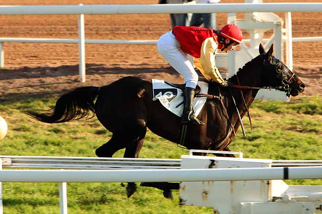 Arrivée quinté pmu PRIX DE LA BRETAGNE à CAGNES-SUR-MER