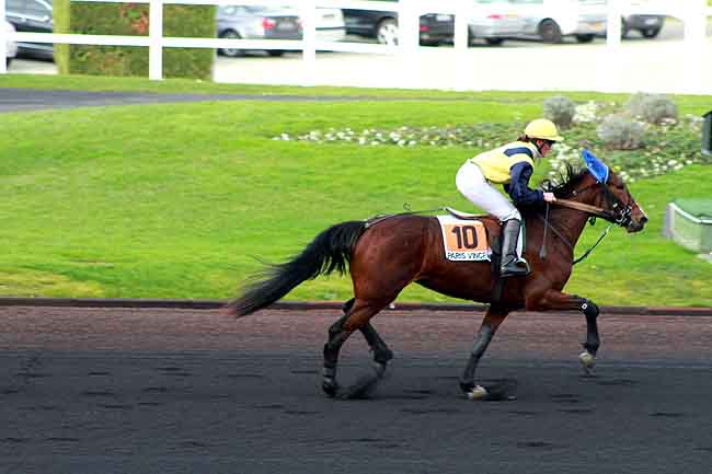 Arrivée quinté pmu PRIX DE SALERS à PARIS-VINCENNES