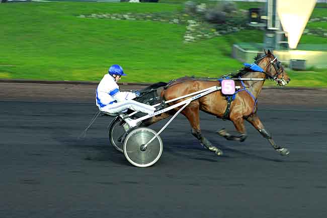 Arrivée quinté pmu PRIX DU MELE SUR SARTHE à PARIS-VINCENNES