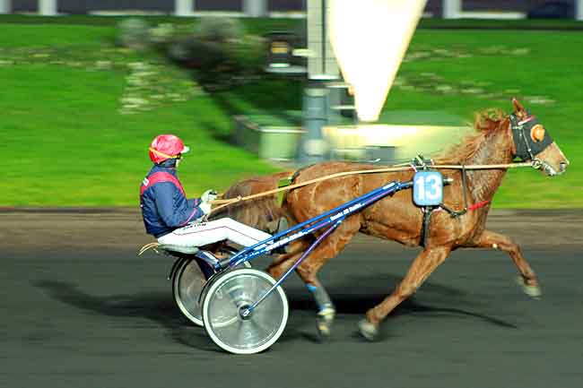 Arrivée quinté pmu PRIX DE LIMAY à PARIS-VINCENNES