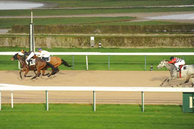 Arrivée quinté pmu PRIX DES LOUVEAUX à DEAUVILLE