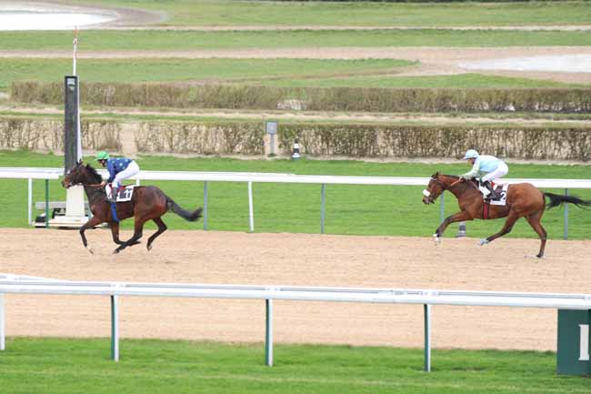 Arrivée quinté pmu PRIX DU HARAS DU PIN à DEAUVILLE MIDI