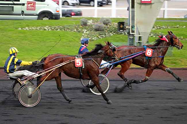 Arrivée quinté pmu PRIX DE PIERREFONDS à PARIS-VINCENNES