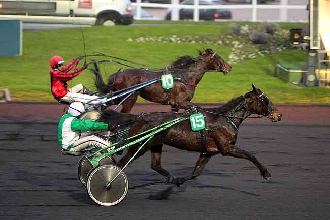 Arrivée quinté pmu PRIX DE SAINT-LEONARD à PARIS-VINCENNES