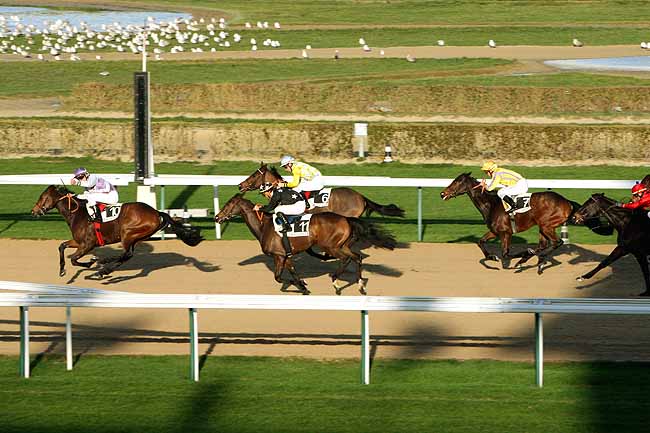 Arrivée quinté pmu PRIX DU VAL DE SAIRE à DEAUVILLE