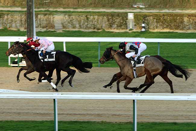 Arrivée quinté pmu PRIX DE RYES à DEAUVILLE