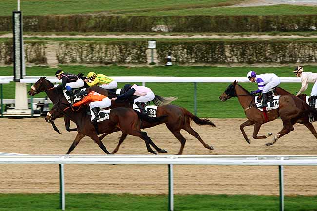 Arrivée quinté pmu PRIX DE COLOMBIERES à DEAUVILLE MIDI